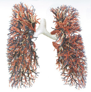 Lungens infrastruktur