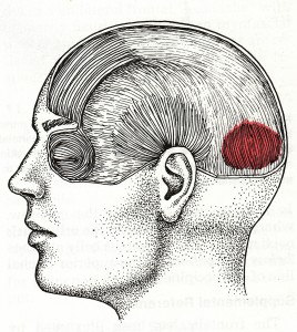Occipitalis
