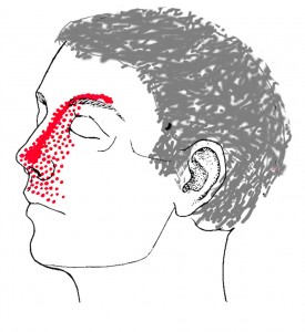 Orbicularis smerteområde